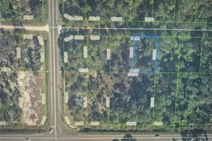 274 Pigeon Ave, Sebring, FL 33870 - Photo 1