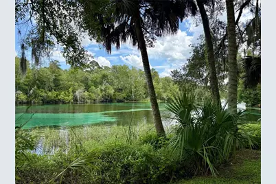 Sw 205th Circle, Dunnellon, FL 34431 - Photo 3