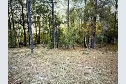 Sw 205th Circle, Dunnellon, FL 34431 - Photo 1