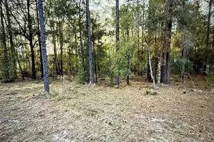 SW 205th Circle, Dunnellon, FL 34431 - Photo 1