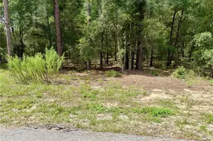 SW 205th Circle, Dunnellon, FL 34431 - Photo 1