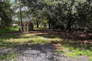 427 Polk Ave, Orange Park, FL 32065 - Photo 41
