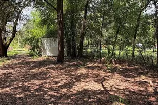 427 Polk Ave, Orange Park, FL 32065 - Photo 47