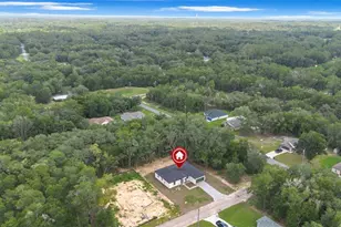 10615 N Didiscus Dr, Citrus Springs, FL 34434 - Photo 35