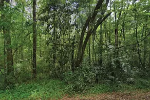 Scenic Dr, Middleburg, FL 32068 - Photo 1