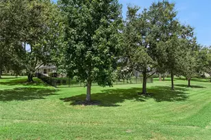 11348 Willow Gardens Dr, Windermere, FL 34786 - Photo 49