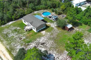 44031 E Rd, Paisley, FL 32767 - Photo 41