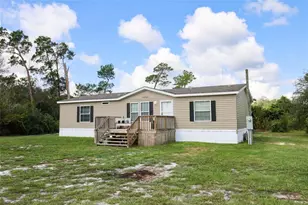 44031 E Rd, Paisley, FL 32767 - Photo 1