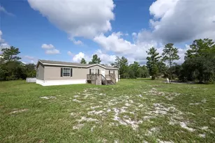 44031 E Rd, Paisley, FL 32767 - Photo 39