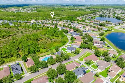 13625 Podocarpus Lane, Orlando, FL 32828 - Photo 37