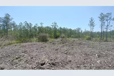 1001 Omega Ranch Road #16, New Smyrna Beach, FL 32168 - Photo 5