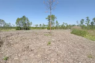 1001 Omega Ranch Rd, New Smyrna Beach, FL 32168 - Photo 1