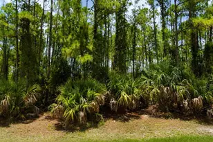 00 Kedgewick Ln, North Port, FL 34288 - Photo 1