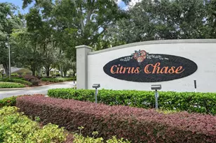 8349 Citrus Chase Dr, Orlando, FL 32836 - Photo 59