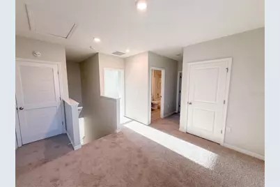 16176 Soft Fern Trace, Odessa, FL 33556 - Photo 17
