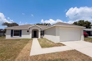 11413 Sand Hill Ave, Spring Hill, FL 34608 - Photo 27