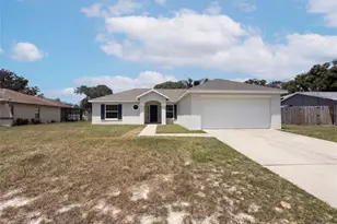 11413 Sand Hill Ave, Spring Hill, FL 34608 - Photo 1