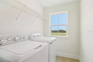 30333 Emerald Frst Dr, Mount Dora, FL 32757 - Photo 35