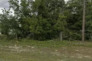 Lot 4 SW 155 Pl, Ocala, FL 34473 - Photo 1