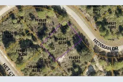 Newman Drive, North Port, FL 34288 - Photo 3