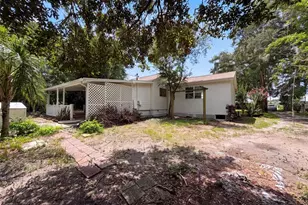 24825 George Rd, Land O Lakes, FL 34639 - Photo 5
