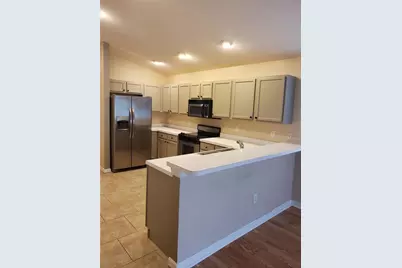 31316 Triborough Drive, Wesley Chapel, FL 33545 - Photo 3
