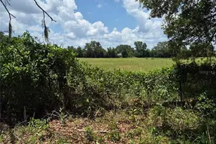 9285 SE 140th Pl, Summerfield, FL 34491 - Photo 7