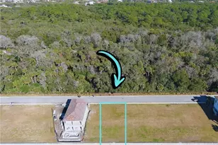 234 Harbor Village Point N, Palm Coast, FL 32137 - Photo 1