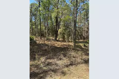 Sw 156th Court, Ocala, FL 34481 - Photo 3