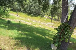 327 Puffer Ct, Poinciana, FL 34759 - Photo 23