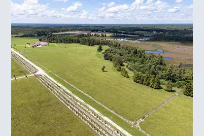 Laws Road, Clermont, FL 34711 - Photo 5