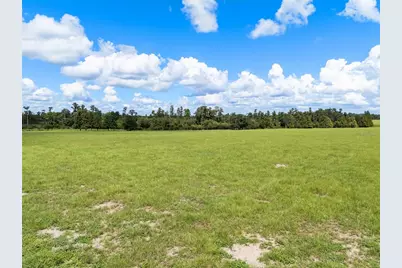 Laws Road, Clermont, FL 34711 - Photo 3