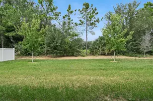 3472 Douglas Fir Dr, Apopka, FL 32703 - Photo 41