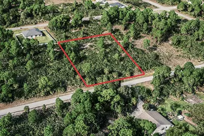 1215 Palmetto Avenue, Lehigh Acres, FL 33972 - Photo 1