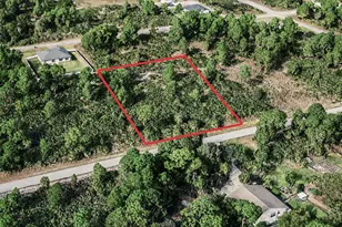 1215 Palmetto Ave, Lehigh Acres, FL 33972 - Photo 1