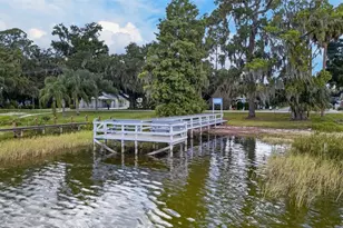 3250 Laurel Dr, Mount Dora, FL 32757 - Photo 45