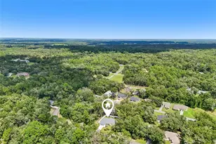 1194 W Virginis Dr, Citrus Springs, FL 34434 - Photo 41