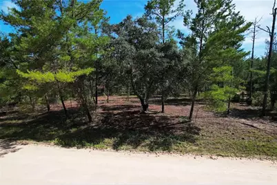 Se 6th Lane, Williston, FL 32696 - Photo 3