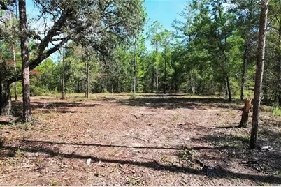Se 6th Lane, Williston, FL 32696 - Photo 1