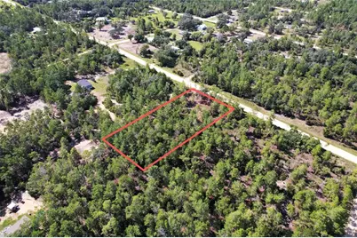 Se 6th Lane, Williston, FL 32696 - Photo 5