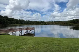 3725 Cohen Dr, Zellwood, FL 32798 - Photo 31
