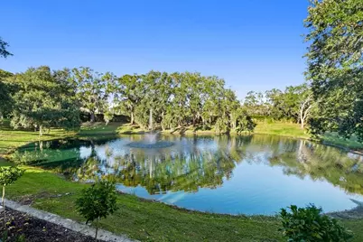 9725 Chestnut Ridge Drive, Windermere, FL 34786 - Photo 7