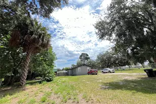 320 W Sadler Ave, Oakland, FL 34760 - Photo 29