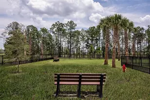 14751 Field Daisy Dr, Winter Garden, FL 34787 - Photo 37