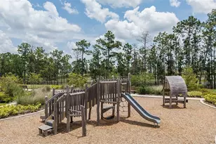 14751 Field Daisy Dr, Winter Garden, FL 34787 - Photo 27