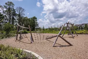 14751 Field Daisy Dr, Winter Garden, FL 34787 - Photo 33