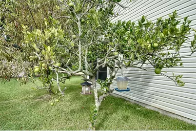 25735 Glen Eagle Drive, Leesburg, FL 34748 - Photo 21
