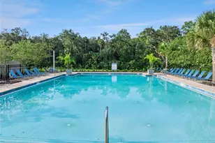 29505 Caspian St, Leesburg, FL 34748 - Photo 47