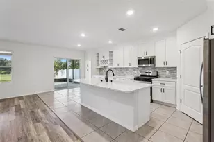 29505 Caspian St, Leesburg, FL 34748 - Photo 9