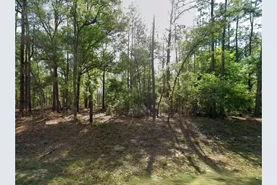 8319 N Yellowbird Avenue, Citrus Springs, FL 34434 - Photo 1